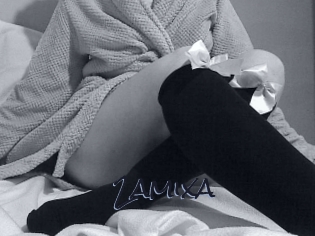 2amixa