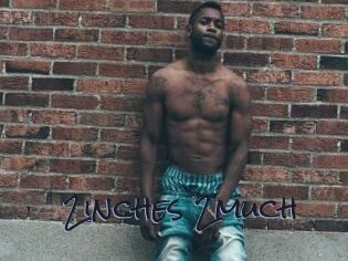 2inches_2much