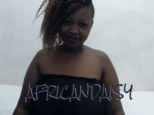 AFRICANDAISY