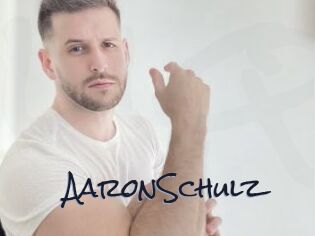 AaronSchulz