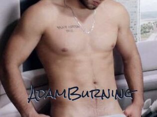 AdamBurning