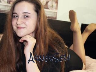 AgnesSew