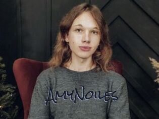 AmyNoiles