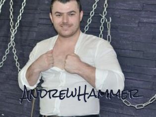 AndrewHammer