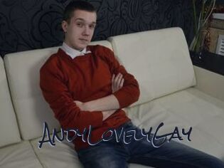 AndyLovelyGay