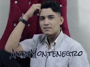 AndyMontenegro
