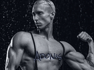 Adonis_