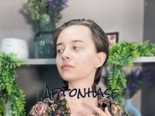 Aftonhase