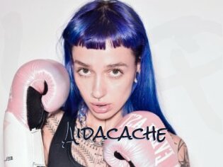 Aidacache