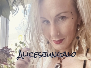 Alicesjungalo