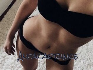 AlpacaPrince