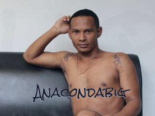 Anacondabig