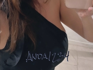 Anda1234