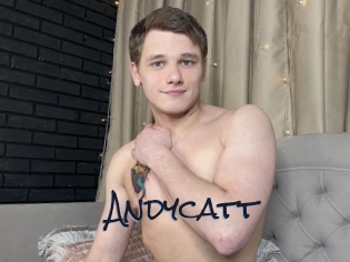 Andycatt
