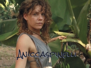 Aniccaspinelli