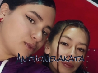 Anthonelakata