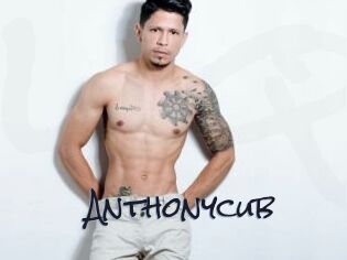 Anthonycub