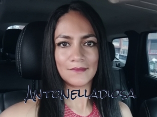 Antonelladiosa