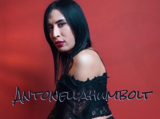 Antonellahumbolt