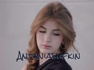 Antoniabufkin