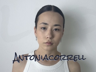 Antoniacorrell