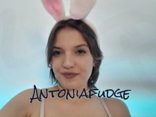 Antoniafudge