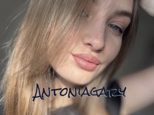 Antoniagary