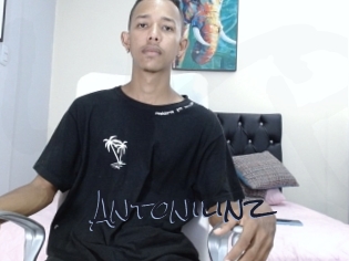Antonilinz
