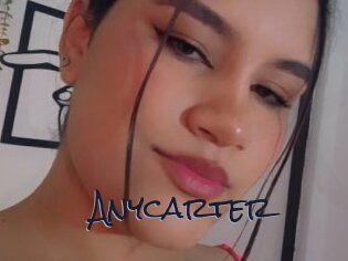 Anycarter