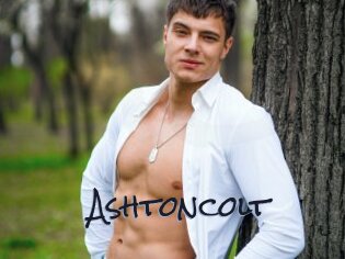 Ashtoncolt