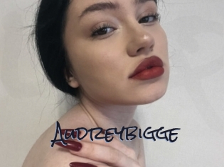 Audreybigge