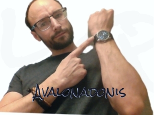 Avalonadonis