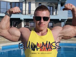 BULLMASS
