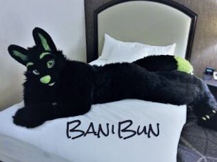 BaniBun