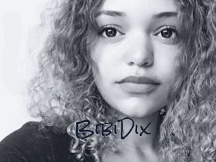BibiDix