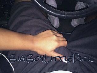 BigBoyLittleDick