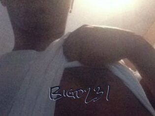 Bigd231