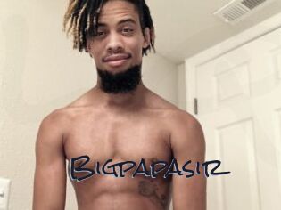 Bigpapasir