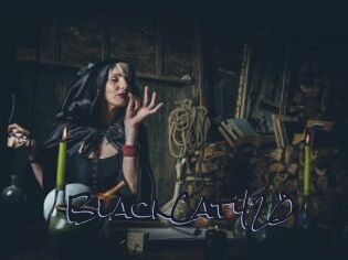 BlackCat420