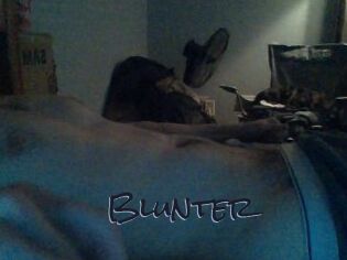 Blunter