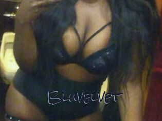 Bluvelvet