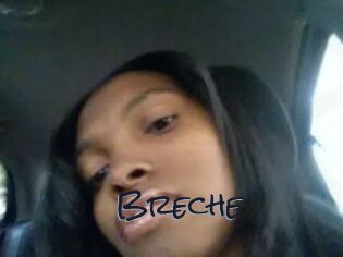 Breche