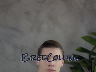 BredCollins