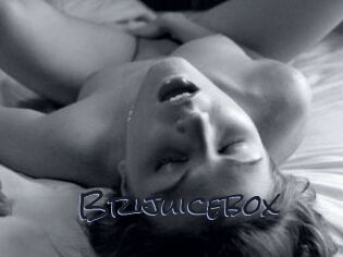 Brijuicebox