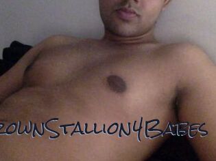 BrownStallion4Babes