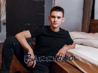 Barrycool