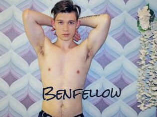 Benfellow