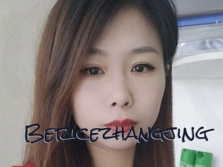 Bericezhangjing