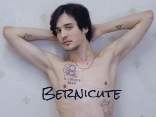 Bernicute