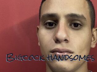 Bigcock_handsomes